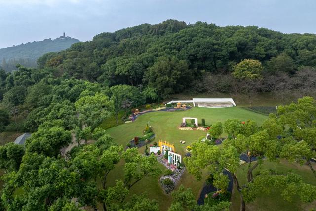 花开成海！苏州上方山金秋花展即将启幕