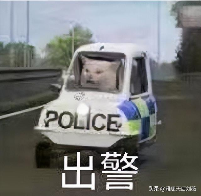 “留子英语”把老外整破防了！评论区一句话直接让老外CPU烧了…