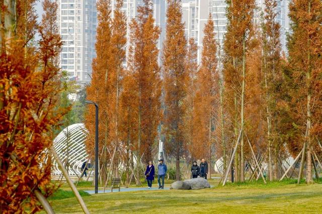 青睐绵阳 || 这里，绝美，超出片！