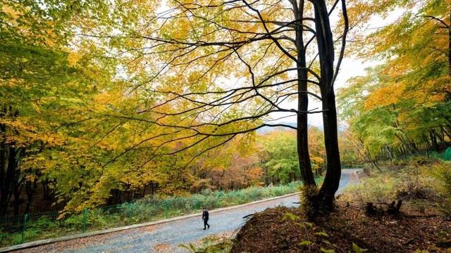 广元旺苍，倒也不必美得如此满分！！！