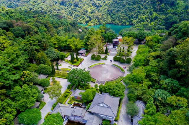 百万粉丝达人宝哥携导盲犬游览鼎湖山，直呼：空气好清新！