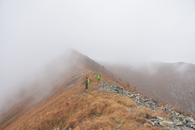 调查｜连发多起死亡、失联事故！你以为的“诗和远方”，可能是在拿命试错