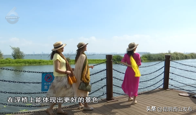 藏不住了！滇池畔“帆船浮桥”重新开放，随手拍都是大片！