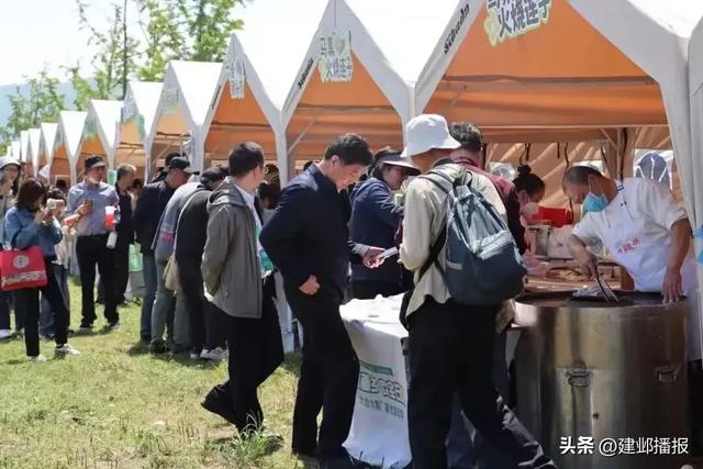 国庆去哪玩？江心洲喊你“上岛撒野”