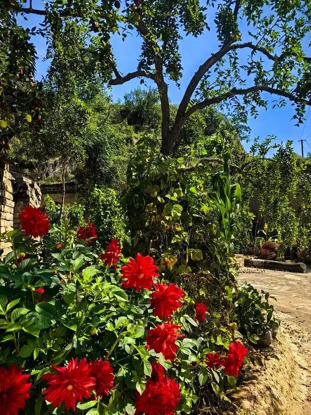 山西吕梁·临县尧昌里村