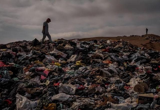 多国损失高达百亿，联合要求中国废除禁令，温铁军：轮不到你发言