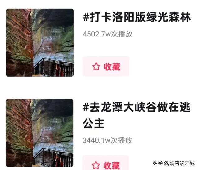 暑期文旅“热”力四射！花式活动“热”度爆棚！