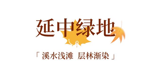 周五宠粉日｜枫叶红“疯”了！沪上市区赏枫运动好地分享，更有运动好礼等你来领！