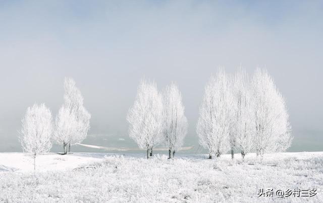 今日二九，老话说：“最怕二九一日晴”，二九晴天有啥预兆？