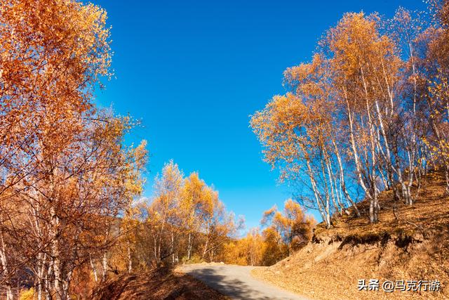 川西新通车的金川县至小金县的金小路即将成为下一条网红路