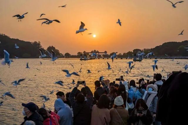 确认了！大批“顶流”抵达无锡！