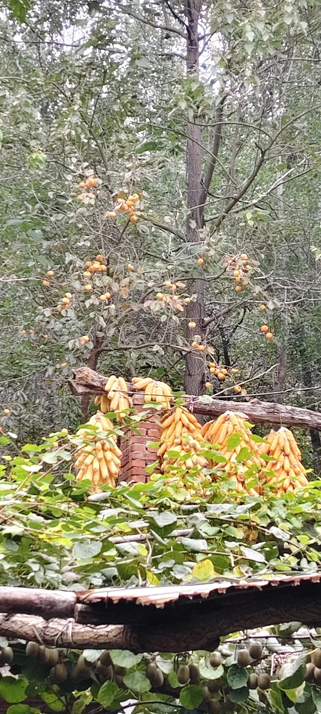 探访博山源泉郑家庄月亮门象鼻子山