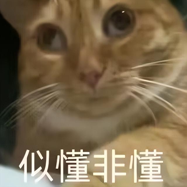 山姆的风波，阿里前高管只是背锅