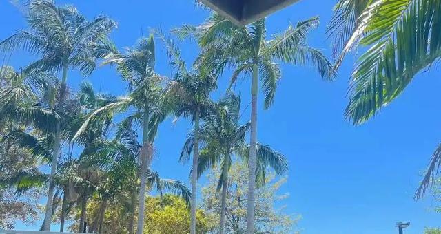 路上·布里斯班 ‖ 又出来赚小时来了