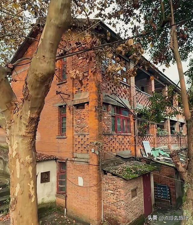 成都彭州的魔幻彩林，都不要门票！壮观、唯美、浪漫，无不惊艳！