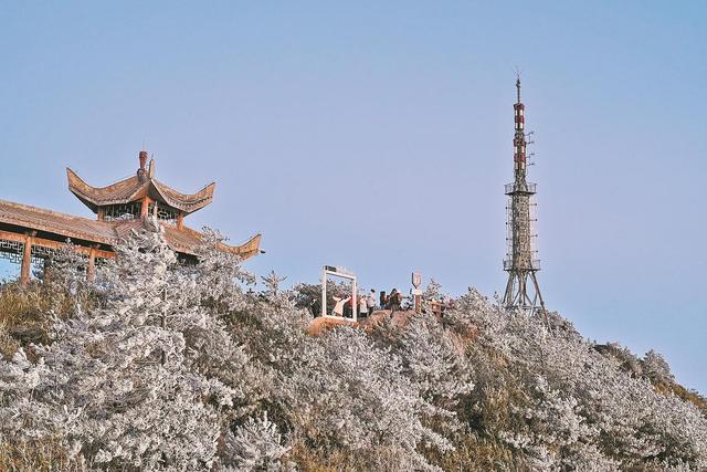 泉州德化：一夜雾凇起，漫山琉璃境