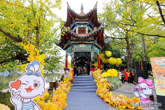 美爆！美爆！超全攻略！超出片！🤳昆明银杏黄金倒计时，抓紧时间冲~