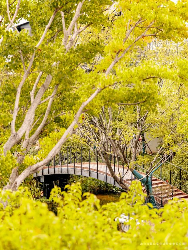 秋游黄陂：滑雪+乐园+温泉，来甘露山全都能玩！