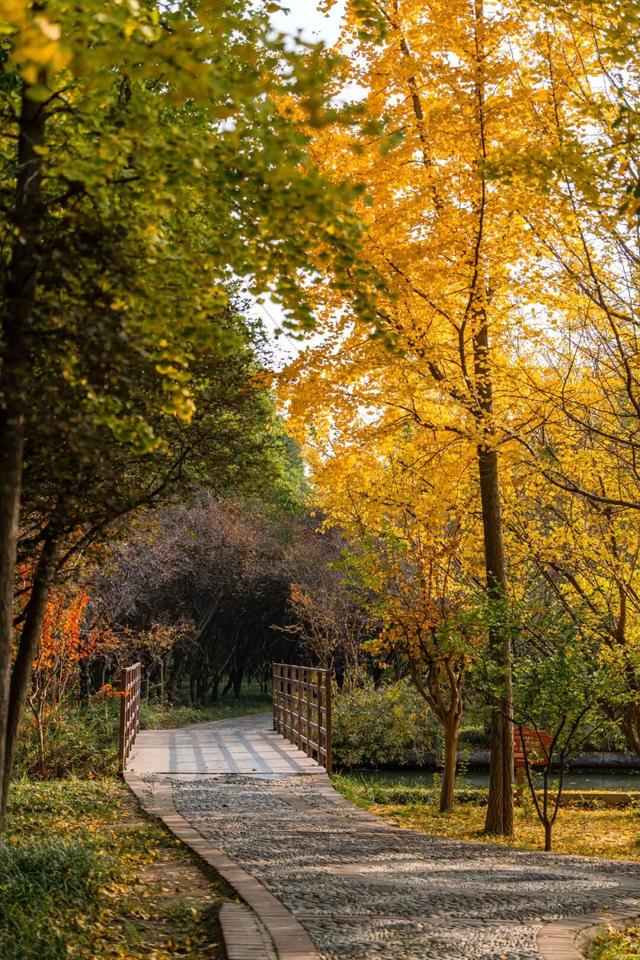 此刻，随手拍洛阳，美景如画！