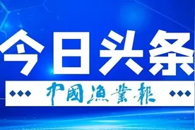 农业农村部发布公告：3月1日启用国内渔船电子证书（内含申领和使用指南）图片