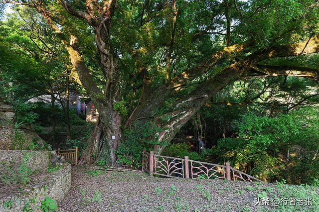 走遍福建古村落，福安发现一处真正的世外桃源，一眼可见九条瀑布