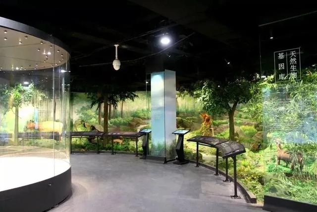 秋假冲鸭!佛坪“秋日乌托邦”,承包你的假日松弛感→