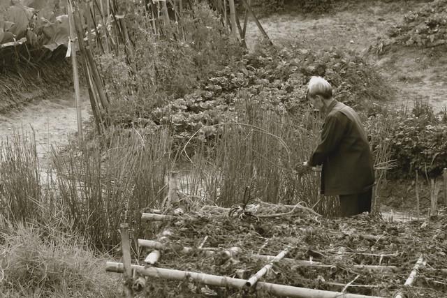 99年网吧通宵，邻座的女孩靠我肩上睡着了，呼吸都喷在我脖子上
