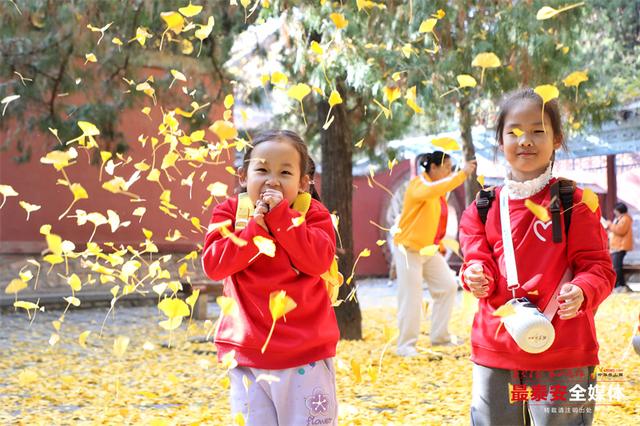 岱庙观景，簌簌金叶映童趣