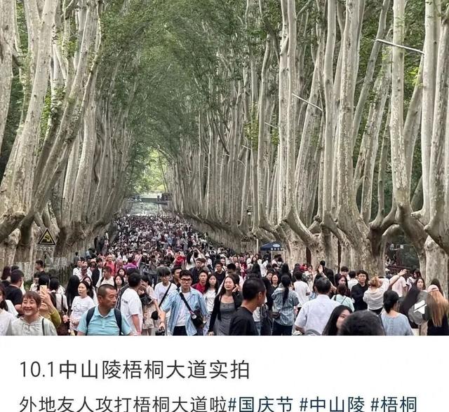 人人人你人人人， 这个假期你在哪里玩（còu）耍（jǐ）呢？