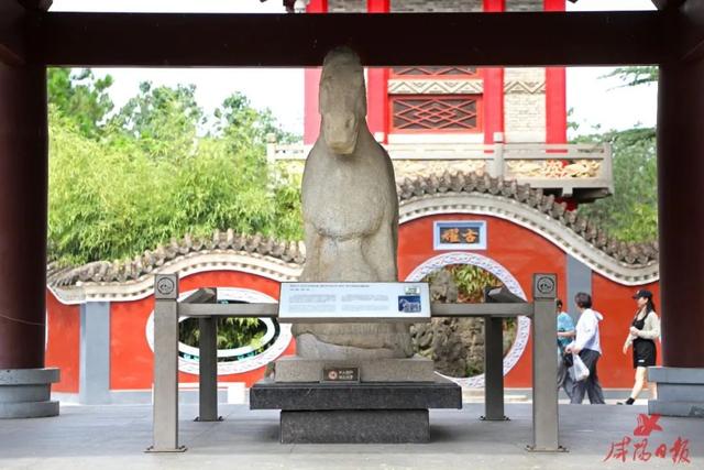 正式立项！陕西国家考古遗址公园＋1