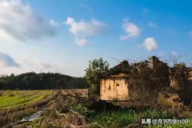 湘行散记,最真实的湖南农村现状令人唏嘘感叹