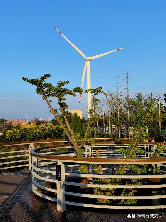 登上古潼关 俯瞰渭河入黄河