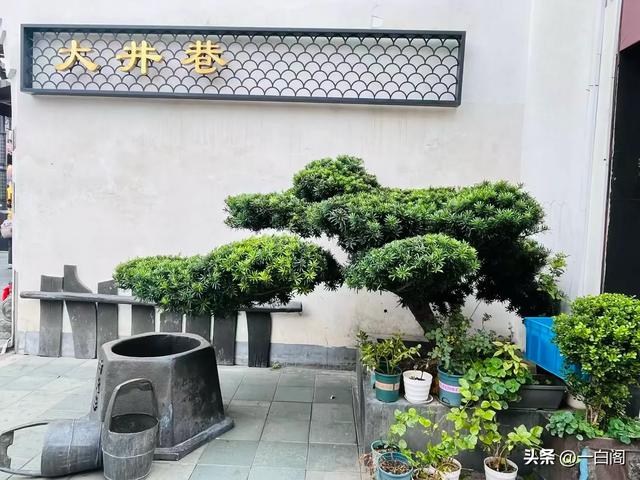 16:杭州千年古街——河坊街