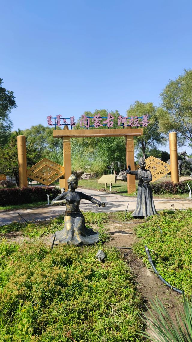 银川花博园真的好大，好大，是我见过的最大的花园