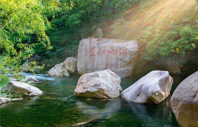 听说，山东的山最近变得「毛茸茸」？