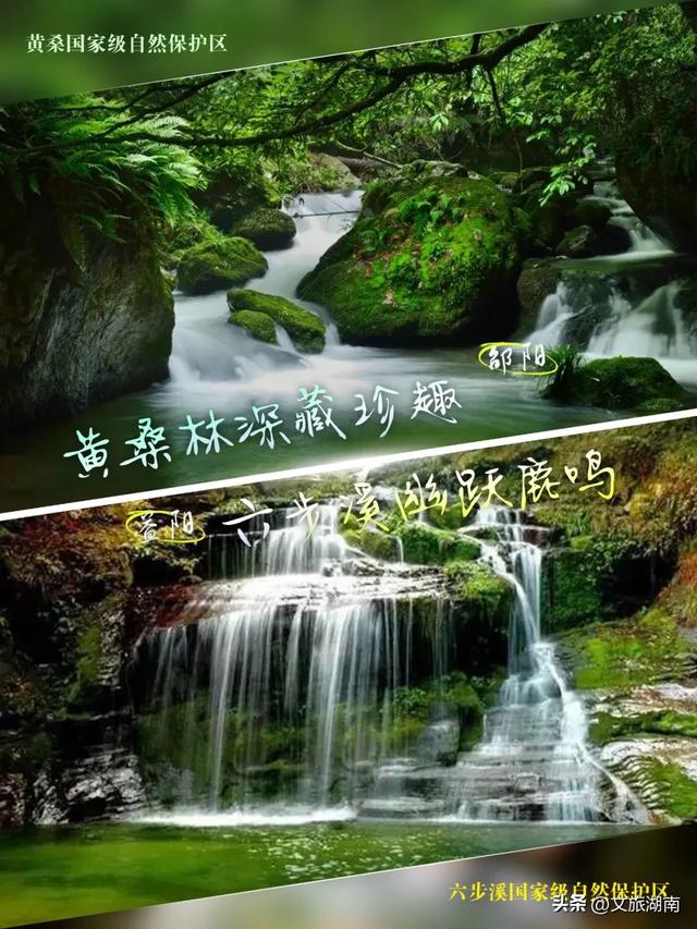 赛场外,两个“阳哥”各有乾坤