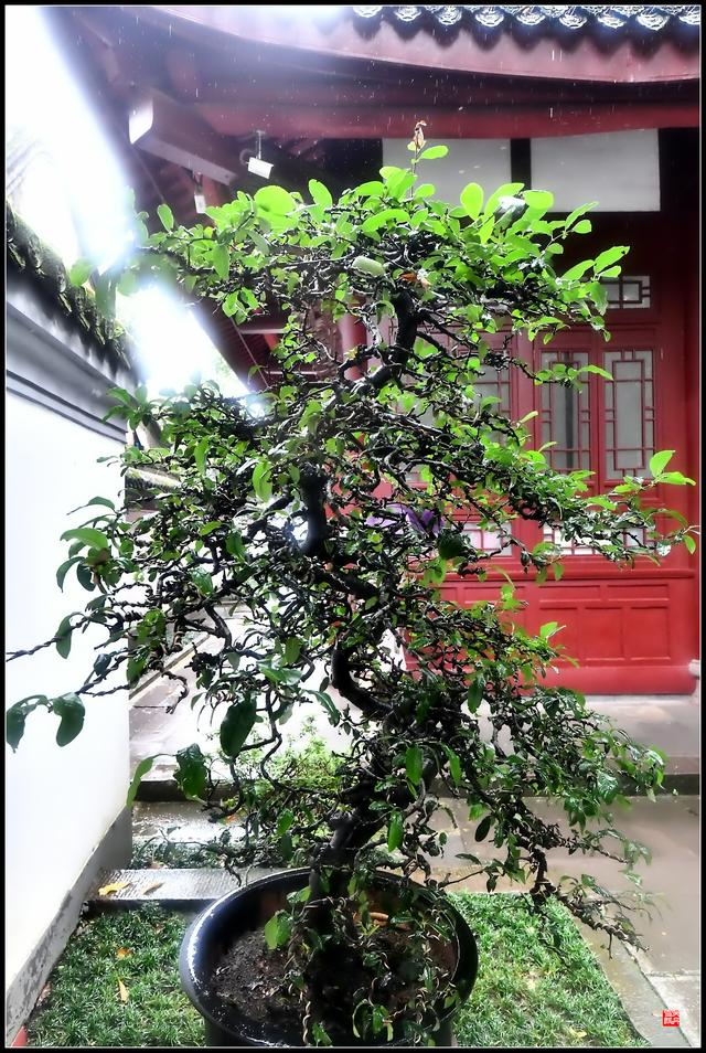 安得广厦千万间，大庇天下寒士俱欢颜