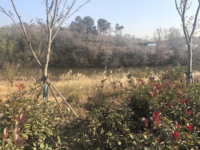 南京第二次到镇江武岐山空青山郊野徒步