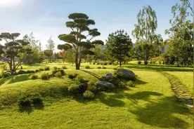 市政园林绿化工程劳务分包价格图片