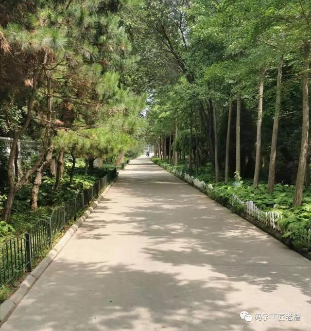 盛夏,我和杨乔在北戴河
