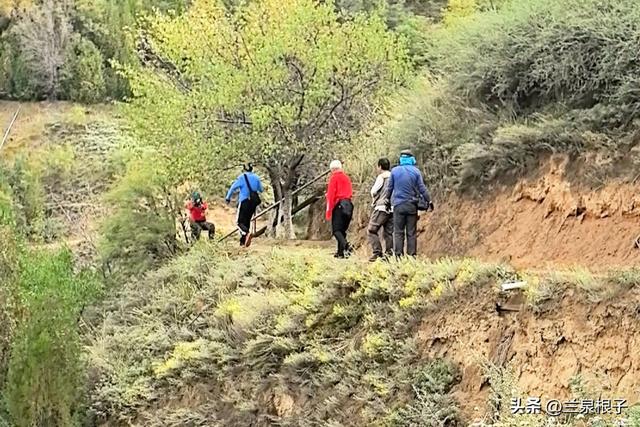 秋染兰州北山 一场用脚步丈量的秋日盛宴