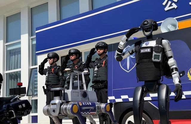 中印边境无人哨兵上岗，印度人笑它是稻草人，军方却笑不出来