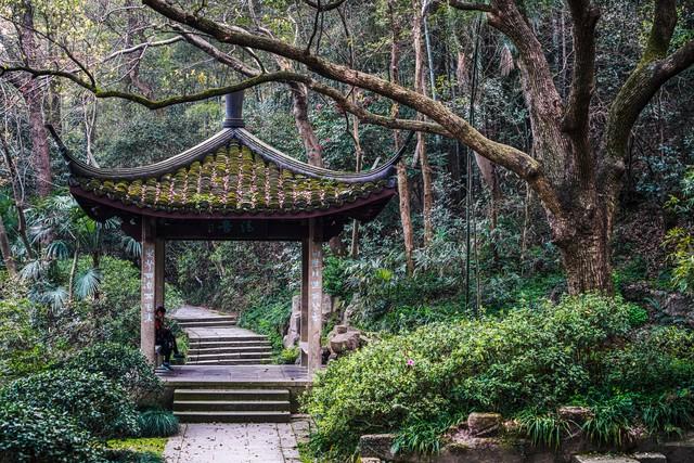 寻香觅幽，漫步天堂：杭州金秋绝美徒步路线全攻略