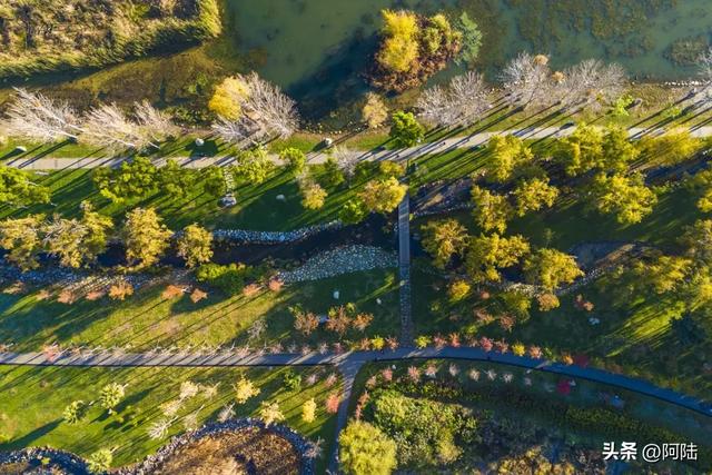 寻找大理海西的最美绿道,色彩缤纷秋意盎然,目测已经开始落叶啦