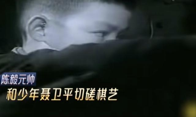 聂卫平离世！40年每年做一件事，赢来棋谱全放在陈毅元帅骨灰盒旁