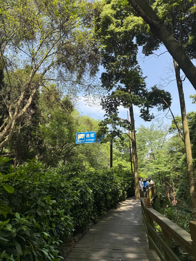 新发现！这是我今年走过最满意的轻徒步线！成都1h直达0门票！