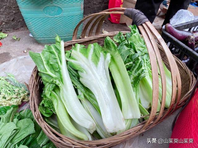 2023年春重庆探亲游（上篇）