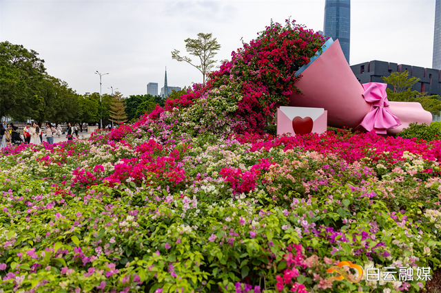 白天赏花、夜晚观灯、全天享赛，广州园博会来了！