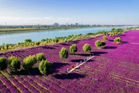 “呼和浩特很好，下次还来！”图片