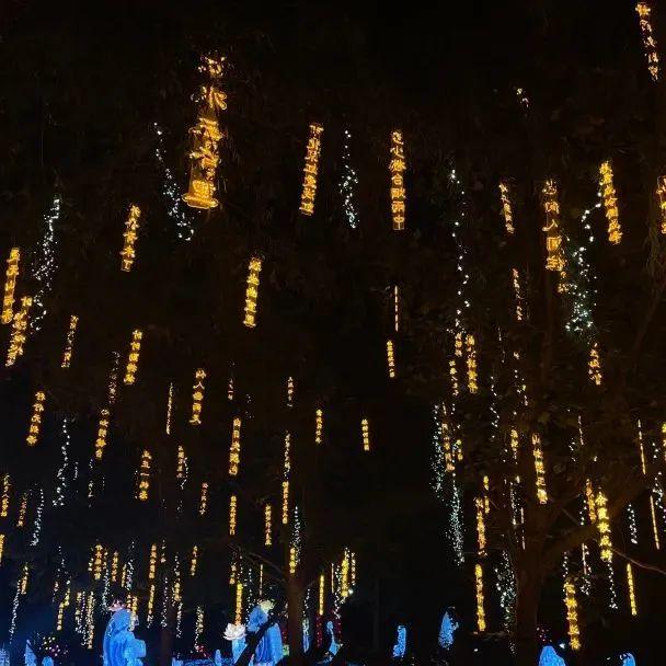 这个暑假，丰台“游”点“不一样”（自然游乐篇）